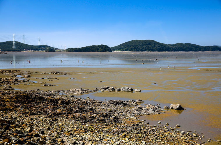 방아머리해변